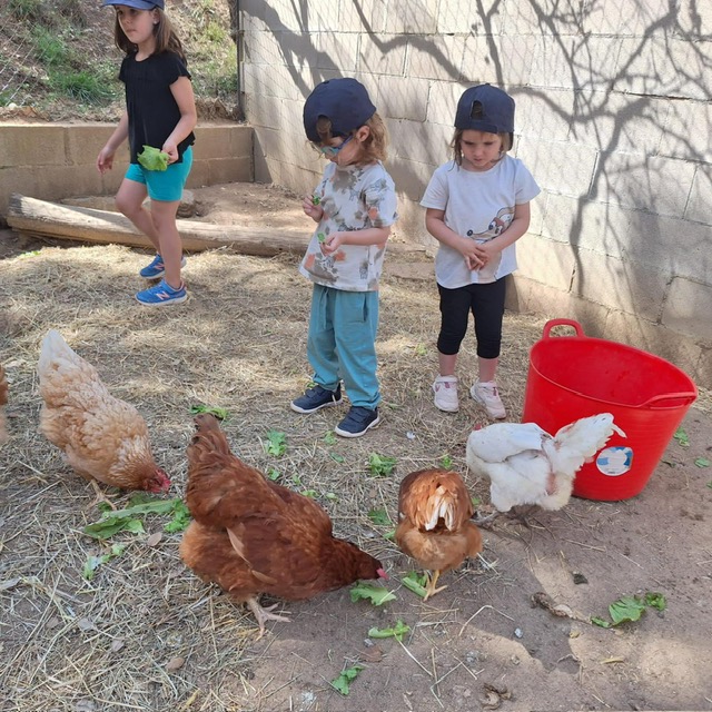 00 Infantil Colonies 23 2