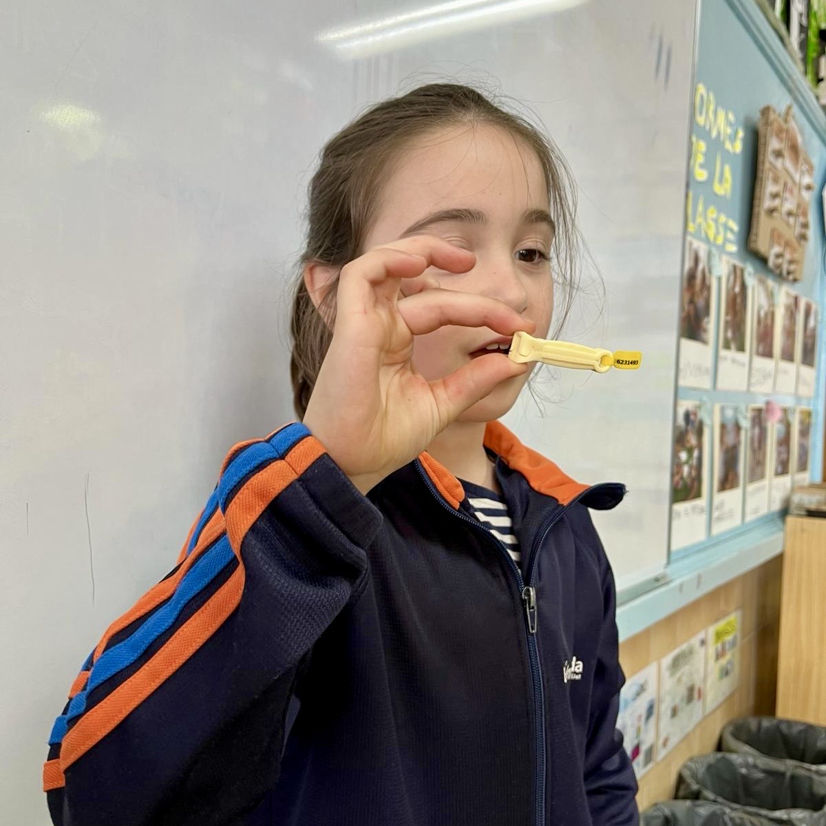 1r Cordó 1