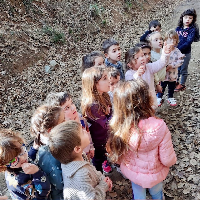 4P esquirol 2