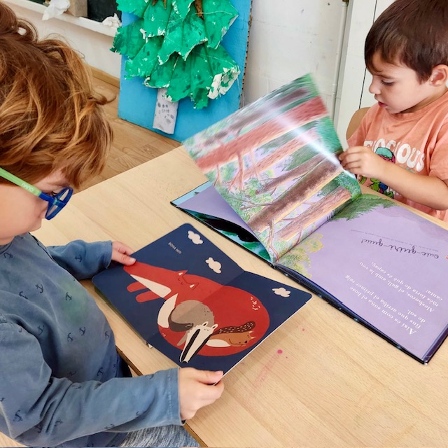 4P llibres bosc 2
