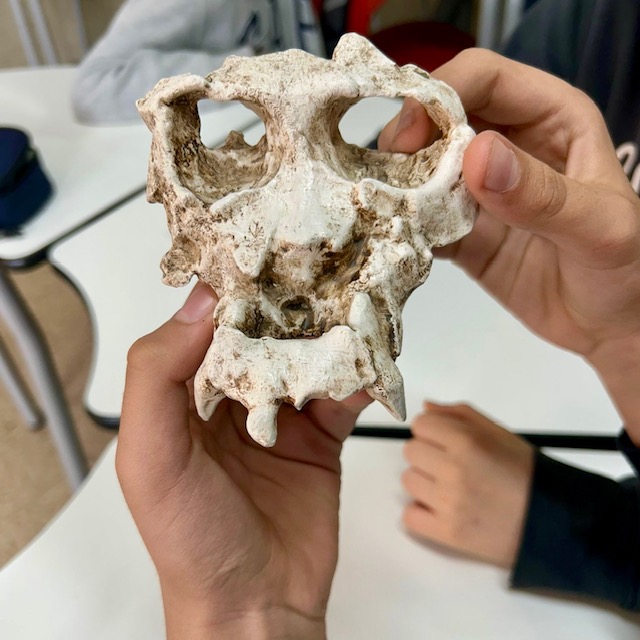 6e Paleontologa 1