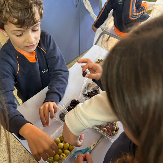 2n Fira Olivera 25 2