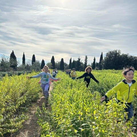 CI Parc Olors Nov 25 1