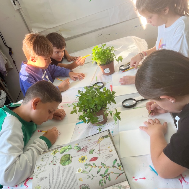 3r Dibuix naturalista 1