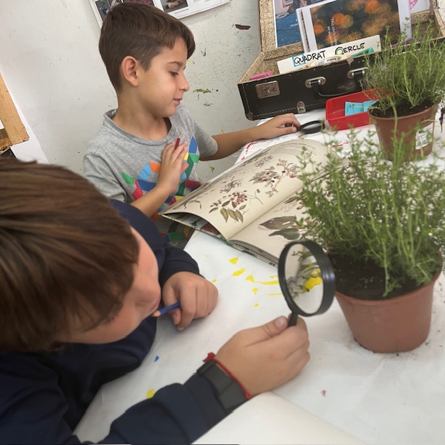 3r Dibuix naturalista 2