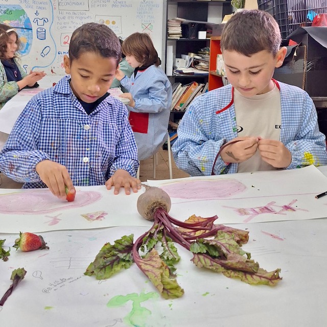 Congres Mitjans narcelio Grud 1