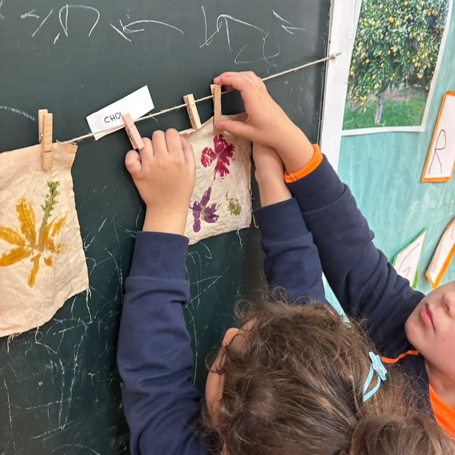 4P maleta Tint i Estampació 2