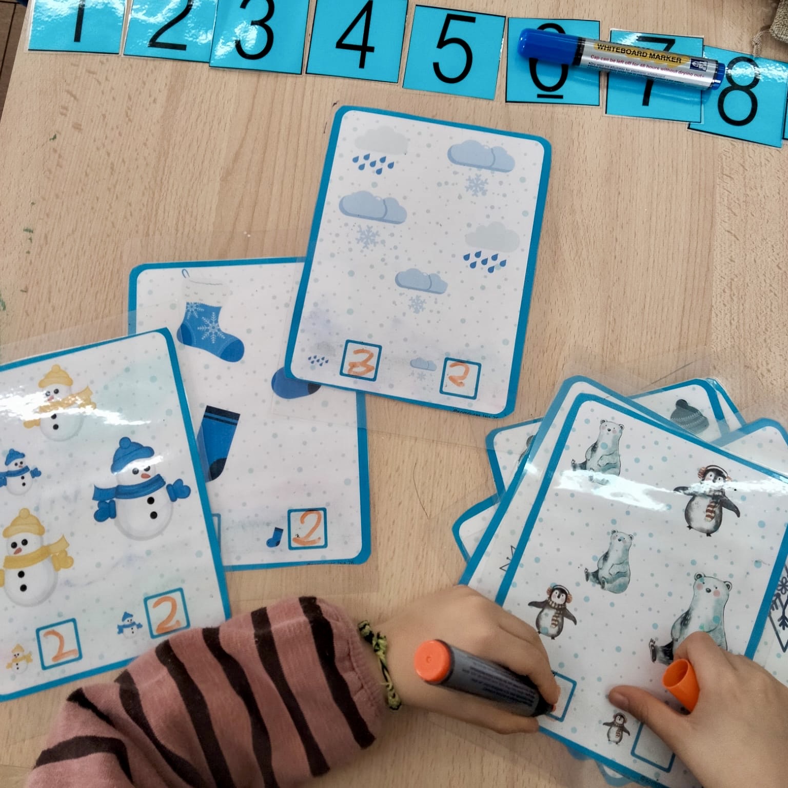 5P racons hivern 26 2