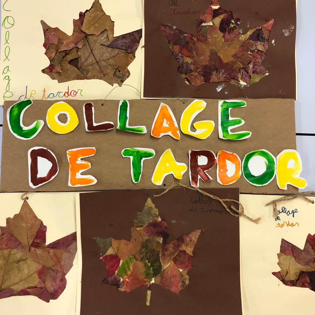 2n collage tardor 2