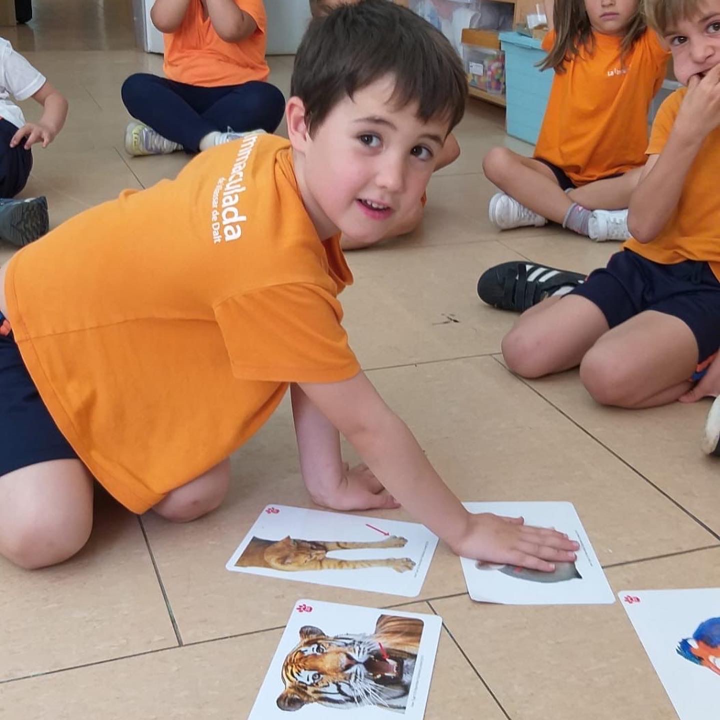 5P animals 2