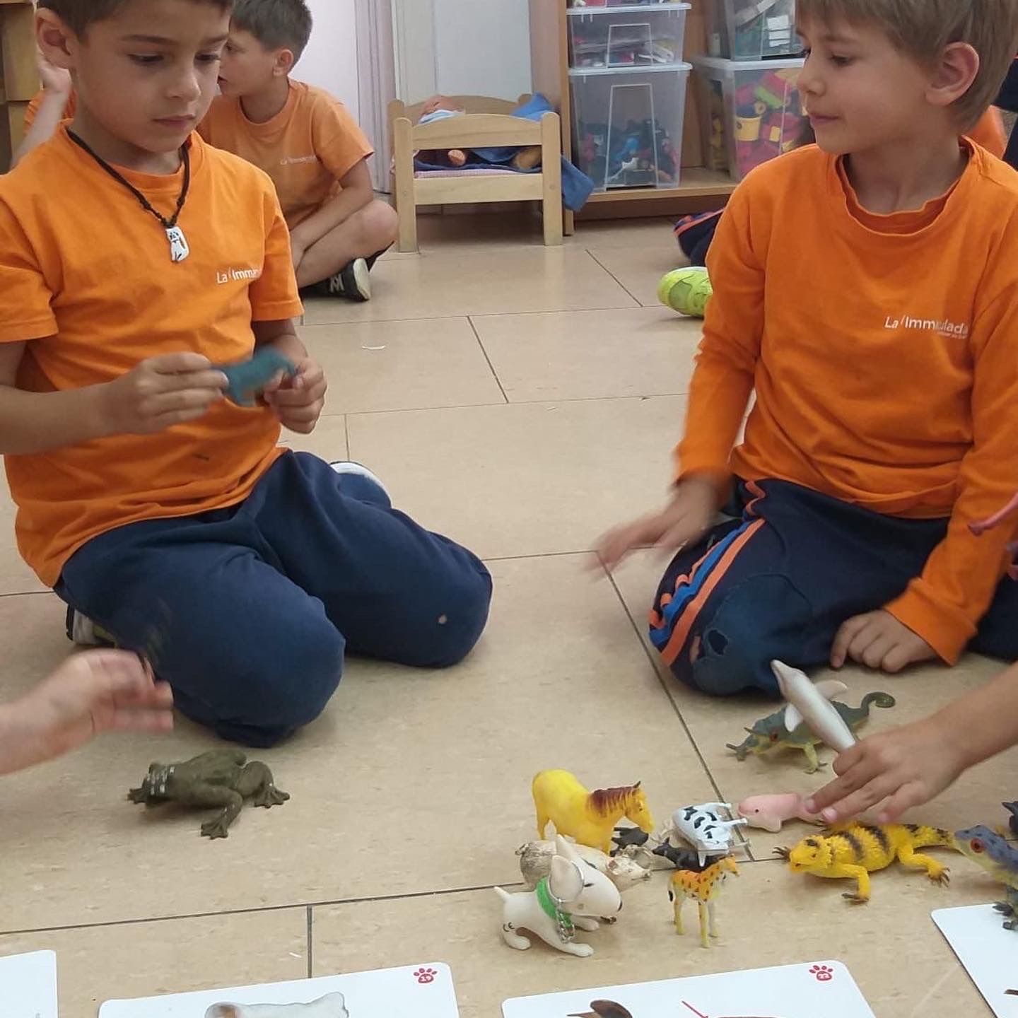 5P animals 3